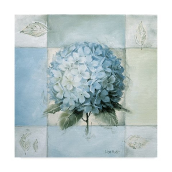 Trademark Fine Art Lisa Audit 'Blue Hydrangea Study 2' Canvas Art, 35x35 ALI24847-C3535GG